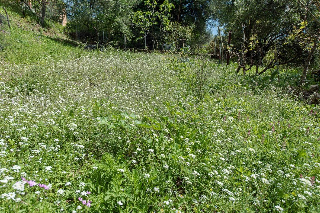 Lily'S House Villa Áno Korakiána Екстериор снимка
